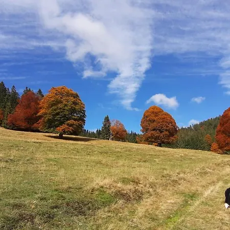Daheim Im Geissetal *