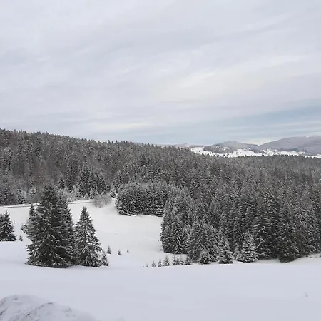 Daheim Im Geissetal דירה סאן בלאסיין