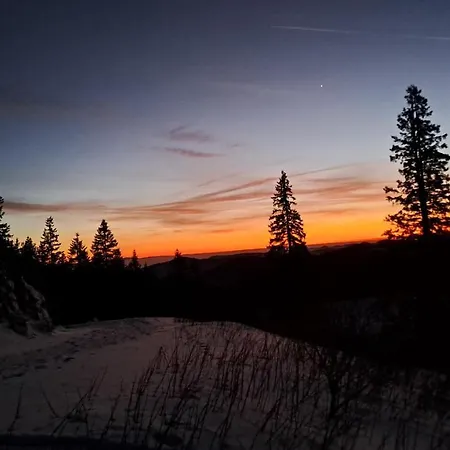 Daheim Im Geissetal Apartment