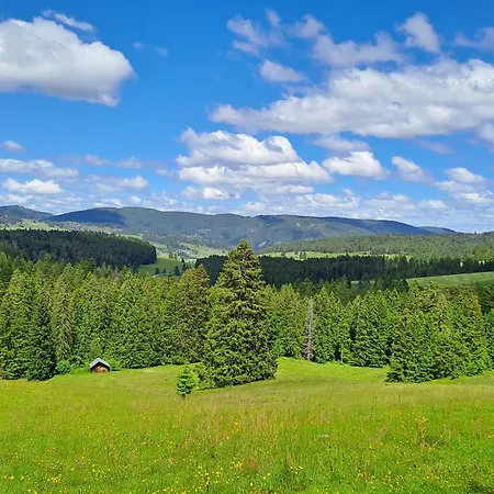 Daheim Im Geissetal * St. Blasien